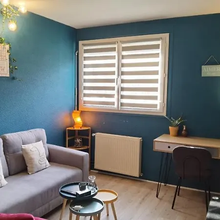 T2 Proche Château, Gare, Uco, Parking Privé Gratuit Angers