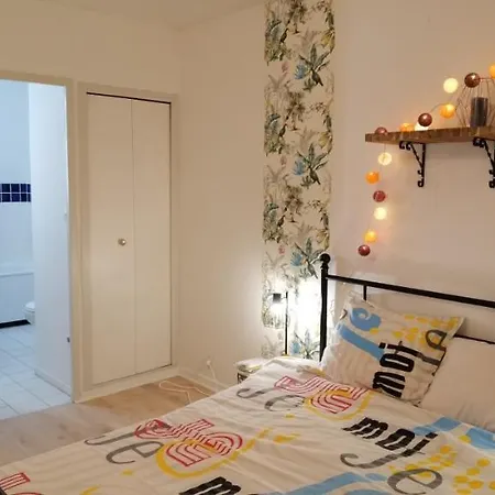 Apartment T2 Proche Chateau, Gare, Uco, Parking Prive Gratuit Angers