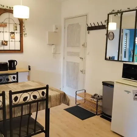 Appartement T2 Proche Château, Gare, Uco, Parking Privé Gratuit Angers