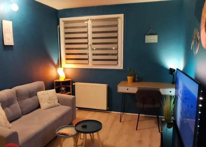 T2 Proche Chateau, Gare, Uco, Parking Prive Gratuit * Angers