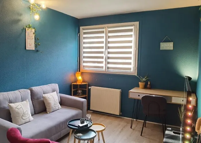 T2 Proche Chateau, Gare, Uco, Parking Prive Gratuit Анже