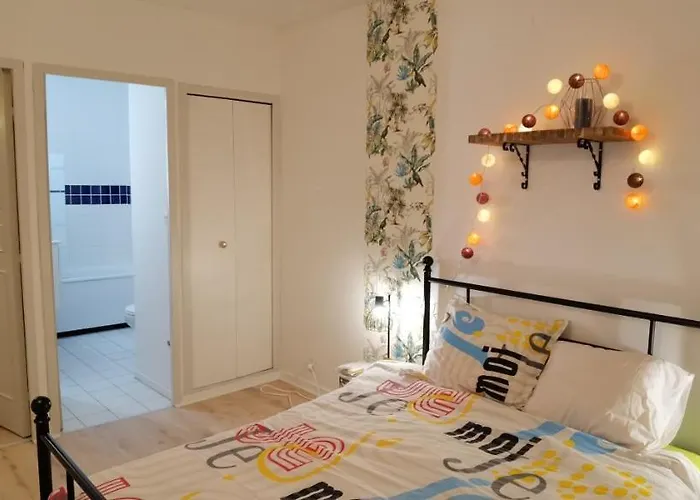 Апартаменты T2 Proche Chateau, Gare, Uco, Parking Prive Gratuit Анже