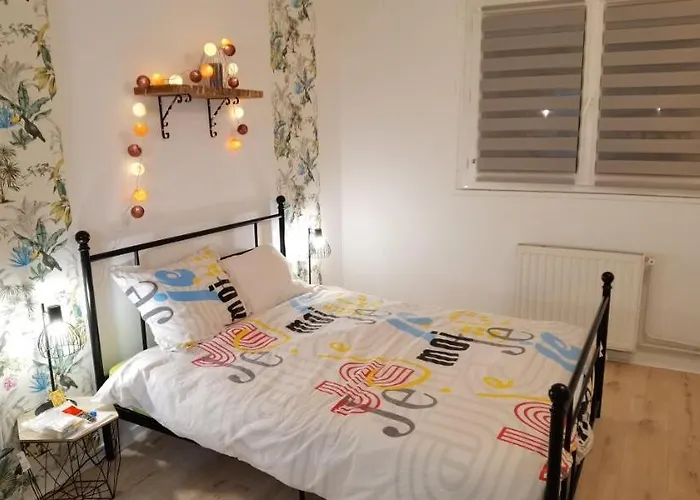 Апартаменты T2 Proche Chateau, Gare, Uco, Parking Prive Gratuit