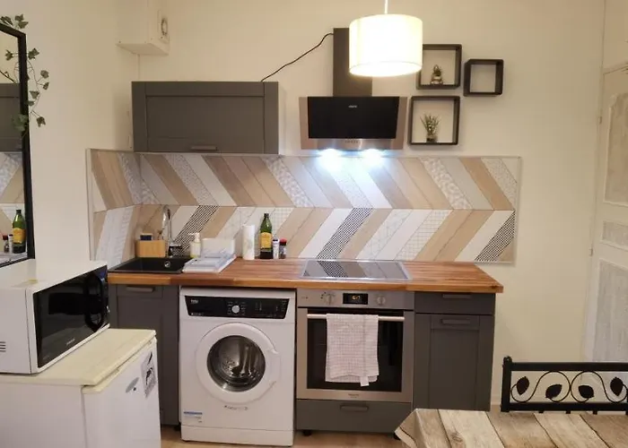 Appartement T2 Proche Chateau, Gare, Uco, Parking Prive Gratuit Angers