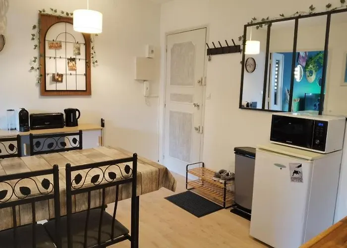 Apartman T2 Proche Chateau, Gare, Uco, Parking Prive Gratuit Angers