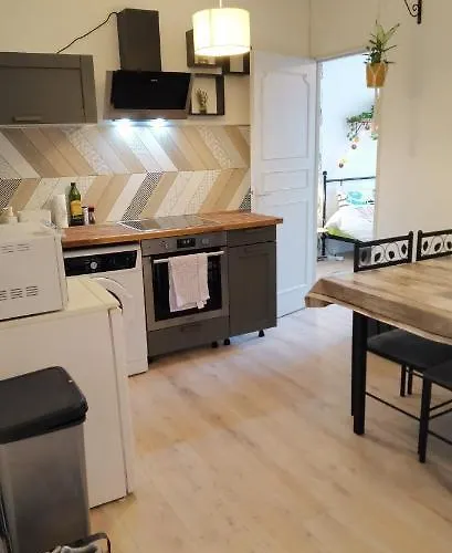 T2 Proche Chateau, Gare, Uco, Parking Prive Gratuit * Angers