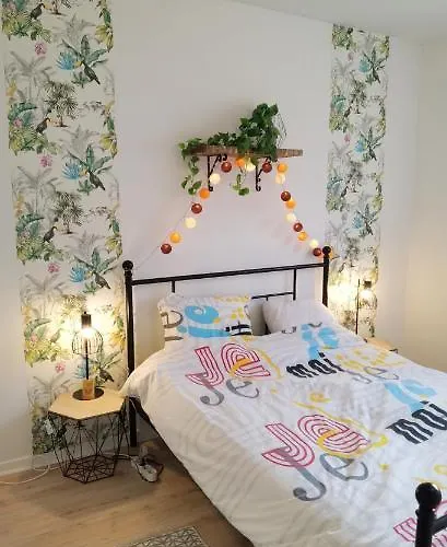 Апартаменты T2 Proche Chateau, Gare, Uco, Parking Prive Gratuit